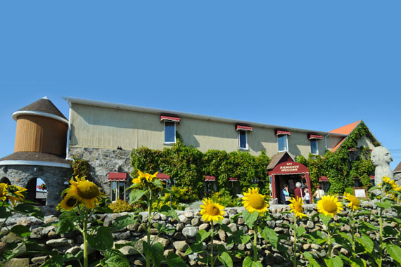 Auberge, hébergement, Centre d’Art Marcel Gagnon, Sainte-Flavie, Gaspésie